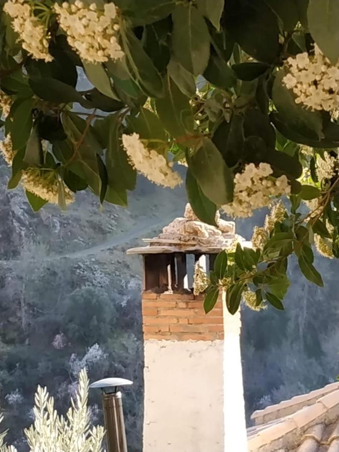 Cortijo La Solana Vendégház Güéjar Sierra Kültér fotó