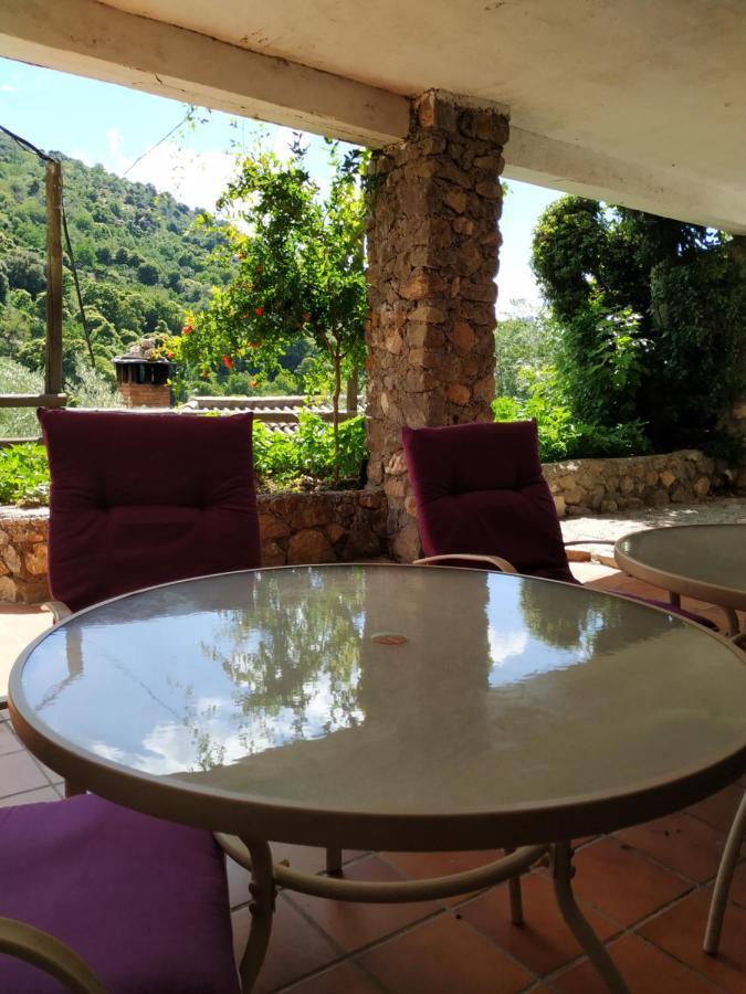 Cortijo La Solana Vendégház Güéjar Sierra Kültér fotó