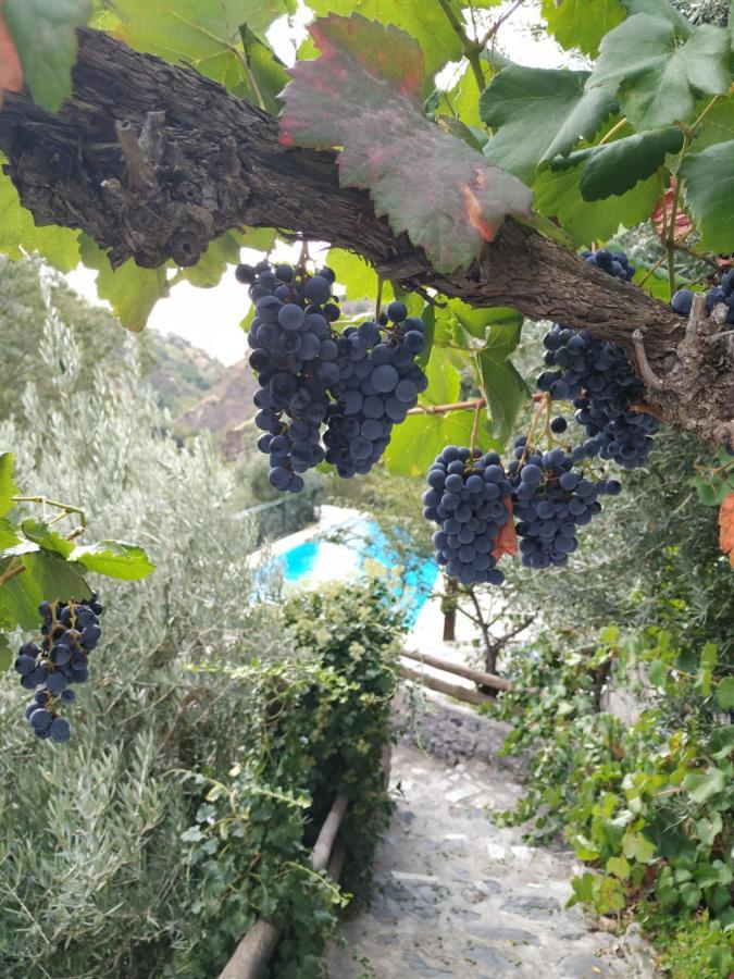 Cortijo La Solana Vendégház Güéjar Sierra Kültér fotó