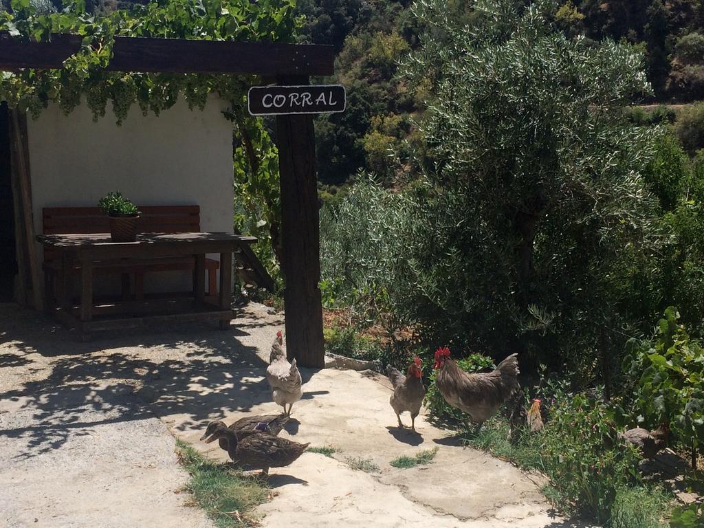 Cortijo La Solana Vendégház Güéjar Sierra Kültér fotó